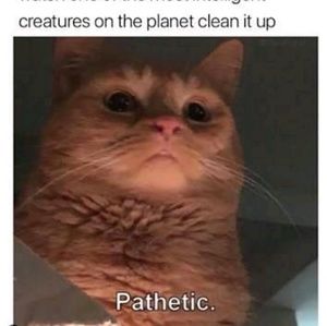 Meet your Posher, Marshall